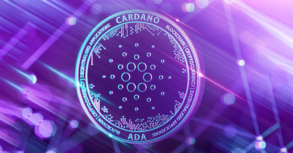 Cardano Vasil