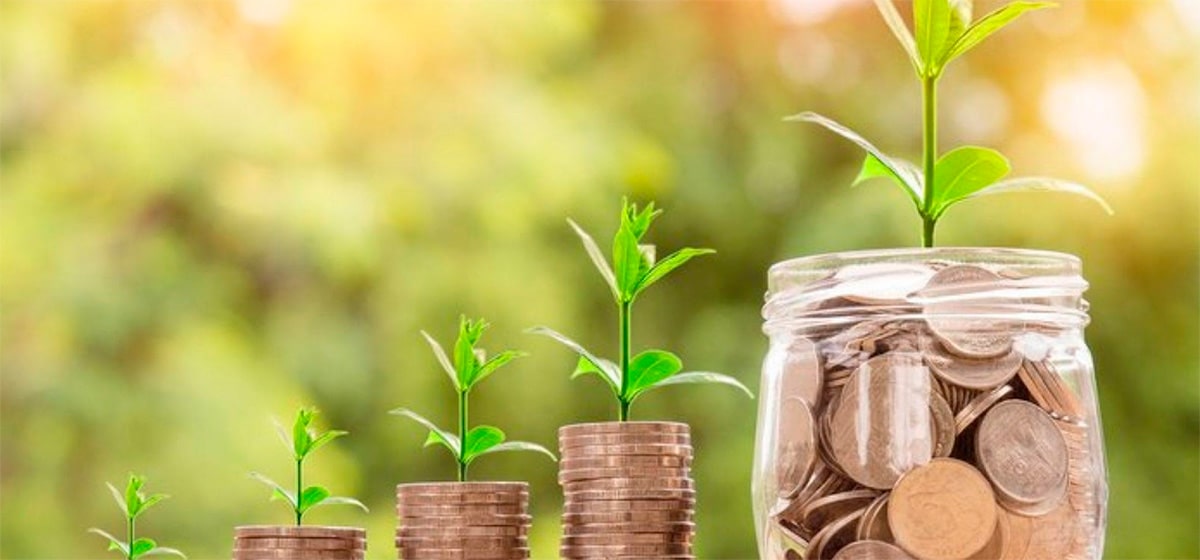 jar with a coin from which a seedling grows